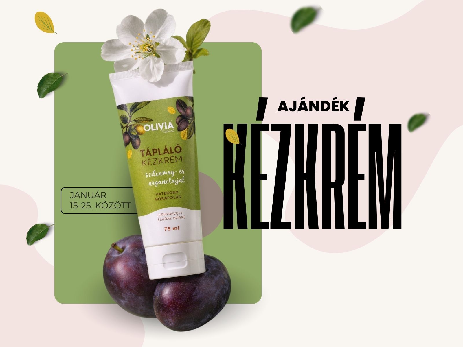 ajandek kezkrem 1600 x 1200 keppont